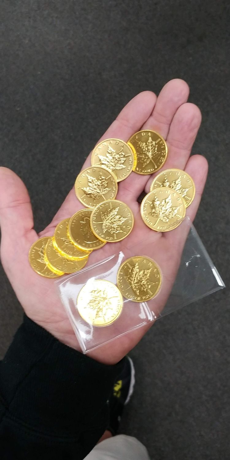 24K Pure Gold Investment Coins